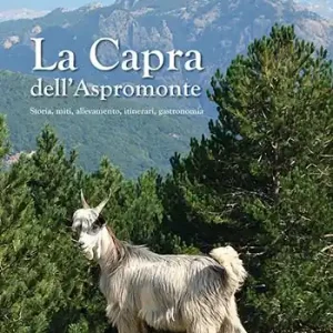 Offerta Del Giorno La capra dell‘Aspromonte. Storia, miti, allevamento, itinerari, gastronomia