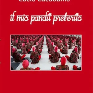 Il mio pandit preferito Nuova Collezione