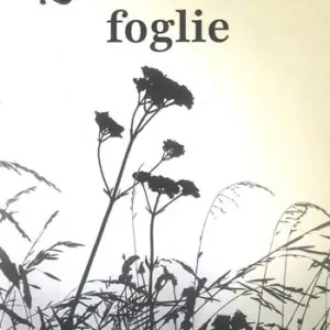 Quarantuno foglie Prezzo Conveniente