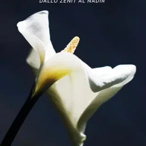 Traiettorie d‘amore. Dallo Zenit al Nadir Occasione Imperdibile