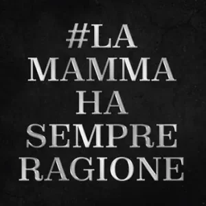 La mamma ha sempre ragione Spedito Oggi