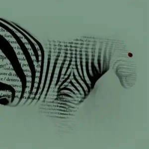De rerum tortura Pagamento Sicuro