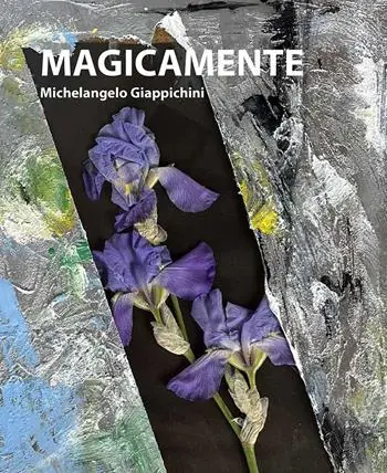 Spedizione Espresso Magicamente. Michelangelo Giappichini