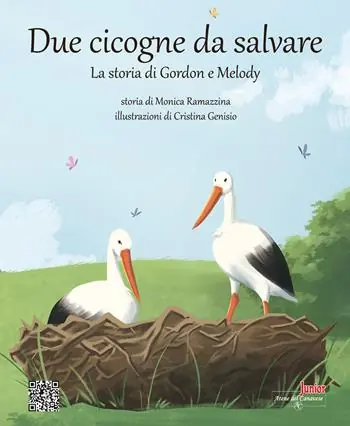 Due cicogne da salvare. La storia di Gordon e Melody. Ediz. illustrata Consegna Rapida