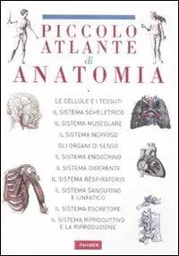 Novità Il piccolo atlante di anatomia. Ediz. illustrata