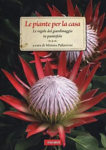 Le piante per la casa. Le regole del giardinaggio in pantofole. Ediz. illustrata Ultima Occasione