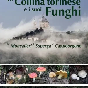 La collina torinese e i suoi funghi da Moncalieri a Superga a Casalborgone Spedizione Espresso