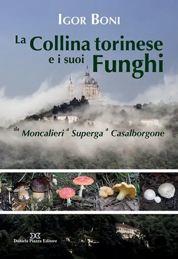 La collina torinese e i suoi funghi da Moncalieri a Superga a Casalborgone Spedizione Espresso