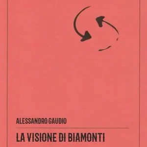 La visione di Biamonti. Principi e motivi d’incontro tra letteratura e filosofia. Ediz. critica Esclusivo