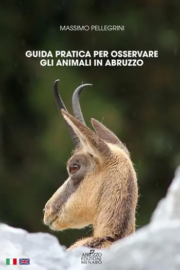 Acquista Ora Guida pratica per osservare gli animali in Abruzzo. Ediz. italiana e inglese