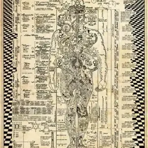 Anatomiae Occultii. Anatomia Occulta (poster) Solo Oggi