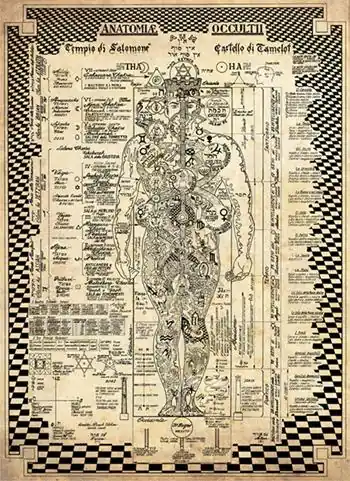 Anatomiae Occultii. Anatomia Occulta (poster) Solo Oggi