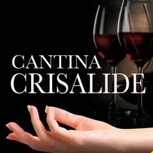 Cantina Crisalide Soddisfatti O Rimborsati