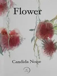 Flower Direttamente Dal Produttore
