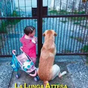La lunga attesa Ordina Subito