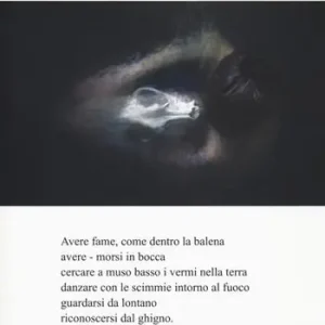 Nel volto delle bestie Prezzo Basso