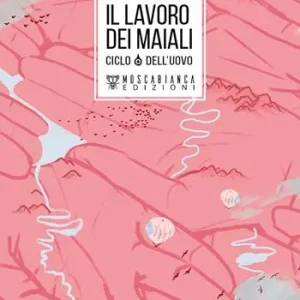 Prezzo Basso Il lavoro dei maiali. Ciclo dell‘uovo