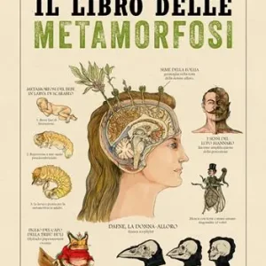 Il libro delle metamorfosi Prezzo Basso