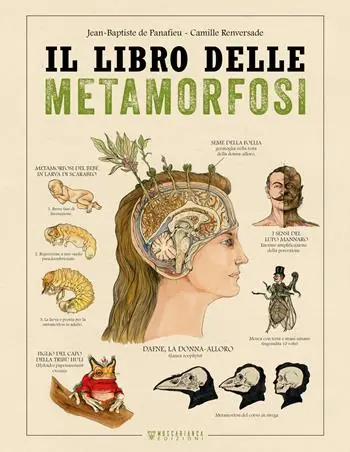 Il libro delle metamorfosi Prezzo Basso