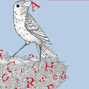 Quantità Limitata Un nido in testa