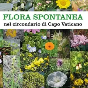 Flora spontanea nel circondario di Capo Vaticano. Ediz. illustrata Compra Online