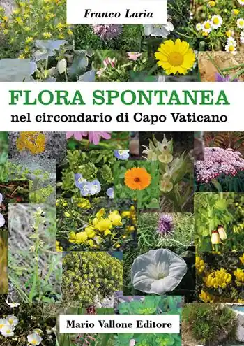 Flora spontanea nel circondario di Capo Vaticano. Ediz. illustrata Compra Online