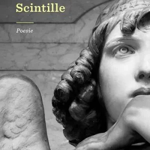 Scintille Professionale