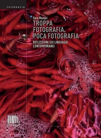 Offerta Speciale Troppa fotografia, poca fotografia. Riflessioni sui linguaggi contemporanei. Ediz. illustrata