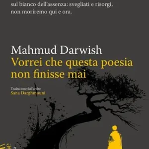 Vorrei che questa poesia non finisse mai Affare