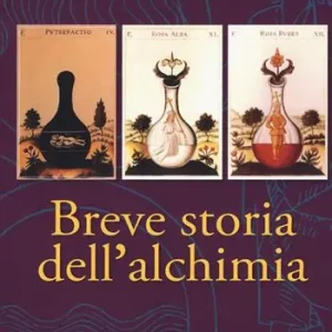 Direttamente Dal Produttore Breve storia dell‘alchimia. Dagli albori del pensiero junghiano una sintesi storica