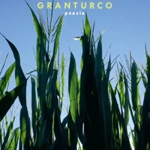 All‘ombra del granturco Più Venduto