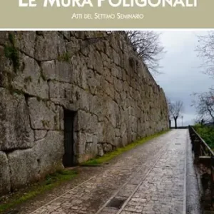 Saldi Le mura poligonali. Atti del settimo seminario