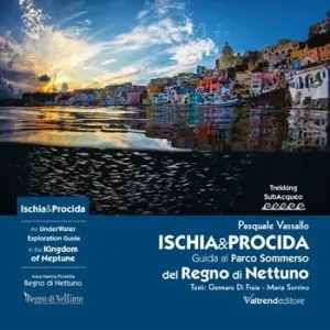 Ischia & Procida. Guida al Parco Sommerso del Regno di Nettuno-An UnderWater Exploration Guide in the Kingdom of Neptune. Ediz. multilingue A Buon Prezzo