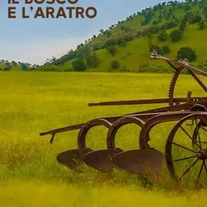 Prezzo Conveniente Il bosco e l‘aratro