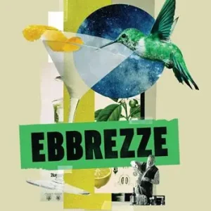 Scelto Dai Clienti Ebbrezze. Da Noè al colibrì, da Hemingway al Martini la bevuta che cambia la vita