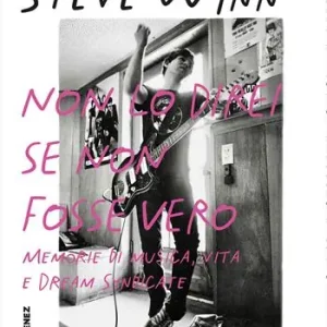 Reso Gratuito Non lo direi se non fosse vero. Memorie di musica, vita e Dream Syndicate