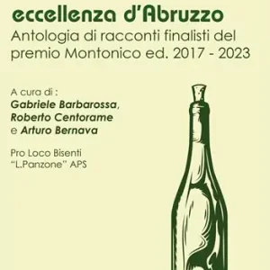 Montonico. Antologia racconti finalisti del premio Montonico ed. 2017-2023 Offerta Lampo