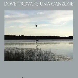 Dove trovare una canzone Solo Oggi