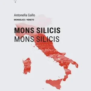 Mons Silicis-Mons Silicis. Ediz. italiana e inglese Novità