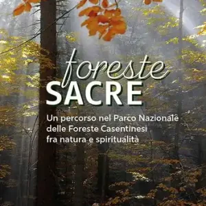 Foreste sacre. Un percorso nel Parco Nazionale delle foreste casentinesi fra natura e spiritualità. Nuova ediz. Spedizione Espresso