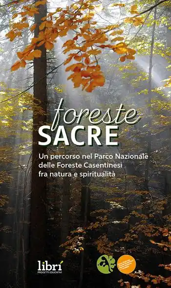Foreste sacre. Un percorso nel Parco Nazionale delle foreste casentinesi fra natura e spiritualità. Nuova ediz. Spedizione Espresso