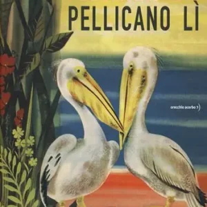 Compra Online Pellicano qui pellicano lì