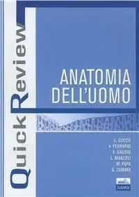 Ultimissimo Modello Quick review. Anatomia dell‘uomo