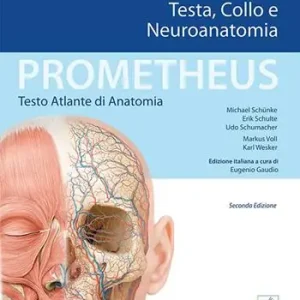 Prometheus. Atlante di anatomia. Testa, collo e neuroanatomia Sconto