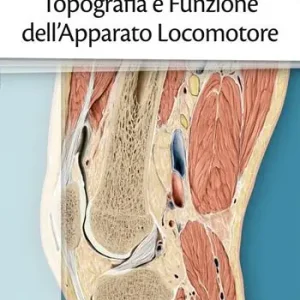 Topografia e funzione dell‘apparto locomotore Prezzo Basso