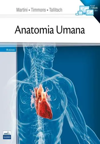 Quantità Limitata Anatomia umana