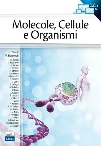 Molecole, cellule e organismi A Buon Prezzo