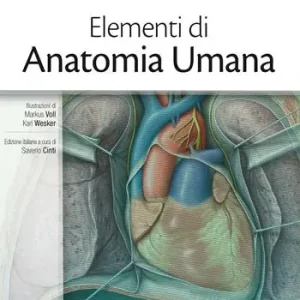Elementi di anatomia umana. Con Contenuto digitale (fornito elettronicamente) Ultime Pezzi