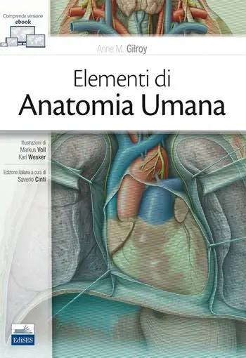 Elementi di anatomia umana. Con Contenuto digitale (fornito elettronicamente) Ultime Pezzi