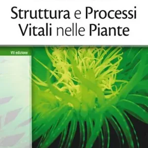 Struttura e processi vitali nelle piante Subito Disponibile